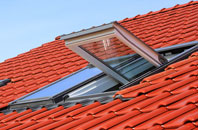 Coalburn roof window